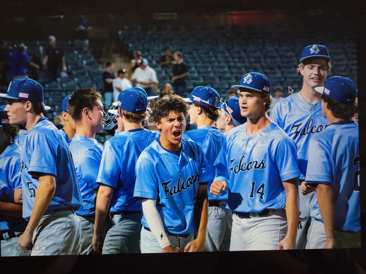 Cactus Shadows Falcons celebrating